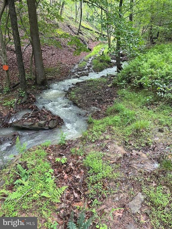 ASHTON WOODS MOUNTAIN HOME WITH 24+ ACRES