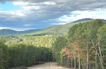 ASHTON WOODS MOUNTAIN HOME WITH 24+ ACRES-12