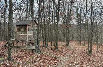 ASHTON WOODS MOUNTAIN HOME WITH 24+ ACRES-15