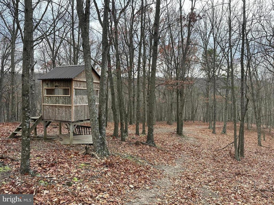 ASHTON WOODS MOUNTAIN HOME WITH 24+ ACRES