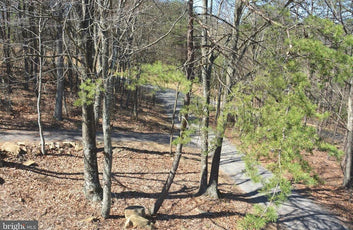 ASHTON WOODS MOUNTAIN HOME WITH 24+ ACRES-76