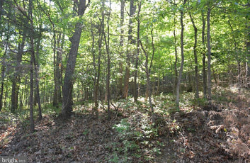 THREE 3 ACRE BUILDING LOTS IN FRONT ROYAL, VA-1