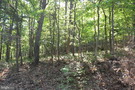 THREE 3 ACRE BUILDING LOTS IN FRONT ROYAL, VA