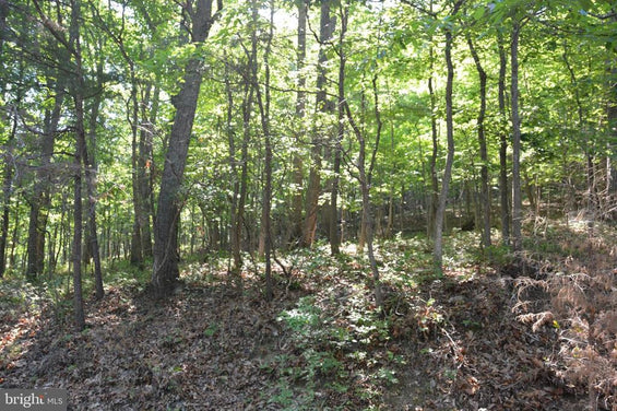 THREE 3 ACRE BUILDING LOTS IN FRONT ROYAL, VA
