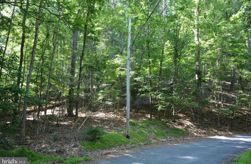THREE 3 ACRE BUILDING LOTS IN FRONT ROYAL, VA-10