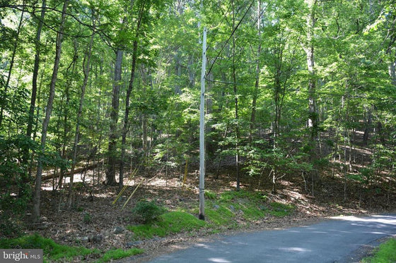 THREE 3 ACRE BUILDING LOTS IN FRONT ROYAL, VA