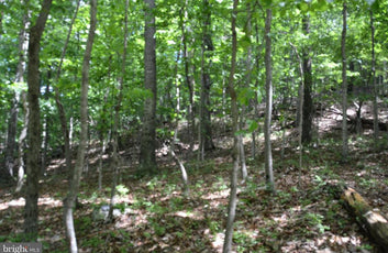 THREE 3 ACRE BUILDING LOTS IN FRONT ROYAL, VA-12