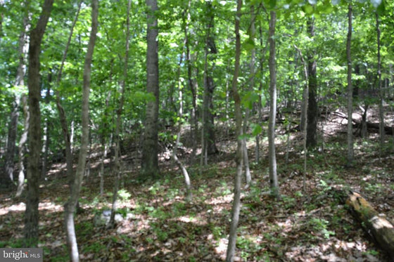 THREE 3 ACRE BUILDING LOTS IN FRONT ROYAL, VA