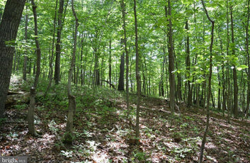 THREE 3 ACRE BUILDING LOTS IN FRONT ROYAL, VA-13