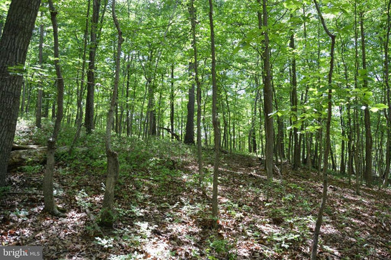 THREE 3 ACRE BUILDING LOTS IN FRONT ROYAL, VA