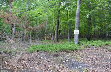 THREE 3 ACRE BUILDING LOTS IN FRONT ROYAL, VA-14