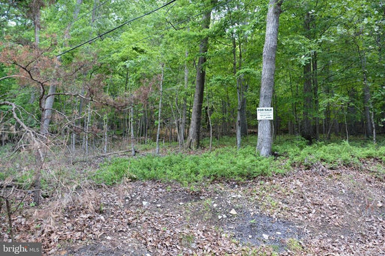 THREE 3 ACRE BUILDING LOTS IN FRONT ROYAL, VA