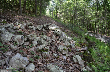 THREE 3 ACRE BUILDING LOTS IN FRONT ROYAL, VA-15