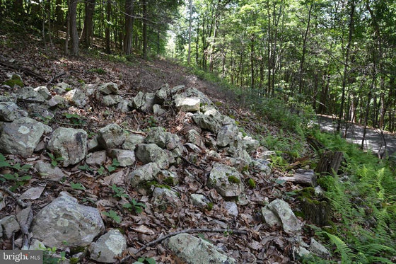 THREE 3 ACRE BUILDING LOTS IN FRONT ROYAL, VA