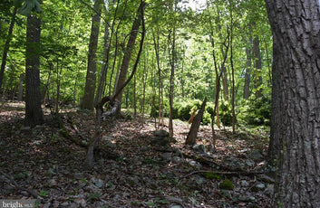 THREE 3 ACRE BUILDING LOTS IN FRONT ROYAL, VA-16