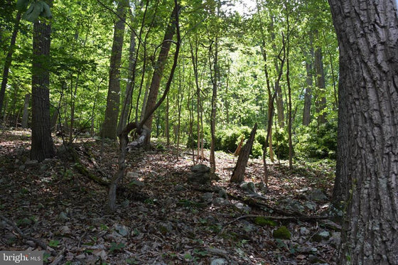 THREE 3 ACRE BUILDING LOTS IN FRONT ROYAL, VA