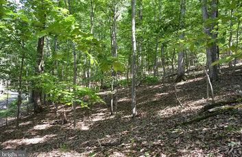 THREE 3 ACRE BUILDING LOTS IN FRONT ROYAL, VA-17