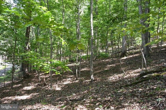 THREE 3 ACRE BUILDING LOTS IN FRONT ROYAL, VA