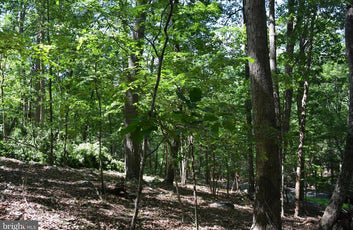 THREE 3 ACRE BUILDING LOTS IN FRONT ROYAL, VA-18