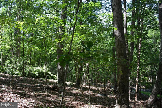 THREE 3 ACRE BUILDING LOTS IN FRONT ROYAL, VA