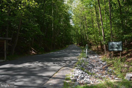 THREE 3 ACRE BUILDING LOTS IN FRONT ROYAL, VA