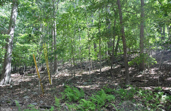 THREE 3 ACRE BUILDING LOTS IN FRONT ROYAL, VA-20