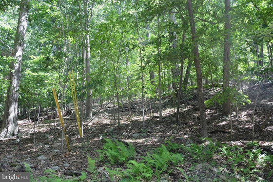 THREE 3 ACRE BUILDING LOTS IN FRONT ROYAL, VA