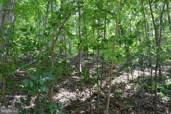 THREE 3 ACRE BUILDING LOTS IN FRONT ROYAL, VA