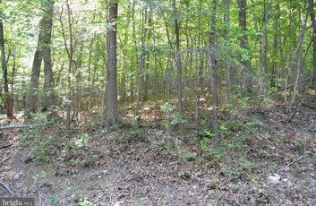 THREE 3 ACRE BUILDING LOTS IN FRONT ROYAL, VA-4