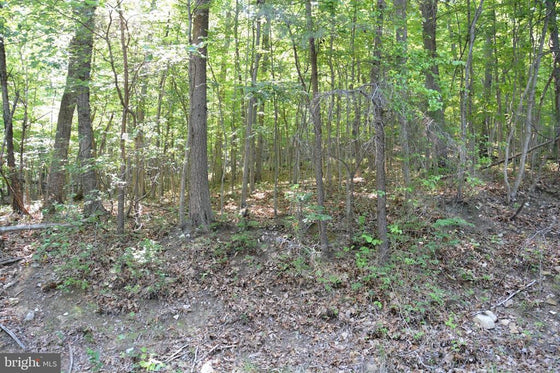THREE 3 ACRE BUILDING LOTS IN FRONT ROYAL, VA