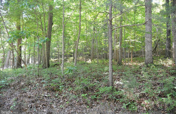 THREE 3 ACRE BUILDING LOTS IN FRONT ROYAL, VA-6