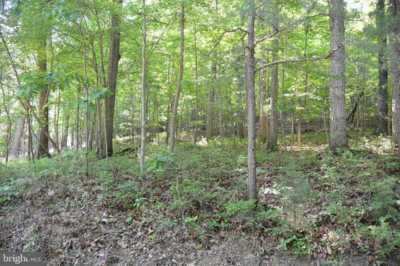 THREE 3 ACRE BUILDING LOTS IN FRONT ROYAL, VA