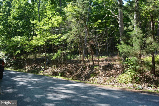 THREE 3 ACRE BUILDING LOTS IN FRONT ROYAL, VA
