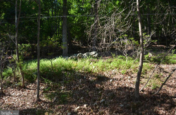 THREE 3 ACRE BUILDING LOTS IN FRONT ROYAL, VA-8