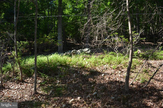 THREE 3 ACRE BUILDING LOTS IN FRONT ROYAL, VA