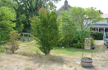 THE HISTORIC GLASS MILL HOUSE 3BR 1BA HOME WINCHESTER VA-4