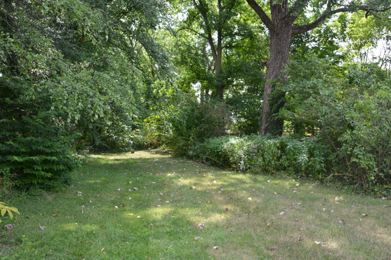 THE HISTORIC GLASS MILL HOUSE 3BR 1BA HOME WINCHESTER VA