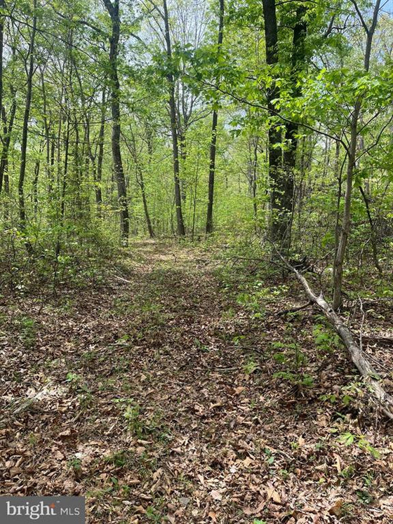 15 ACRES RECREATIONAL LAND IN FALL RUN FOREST
