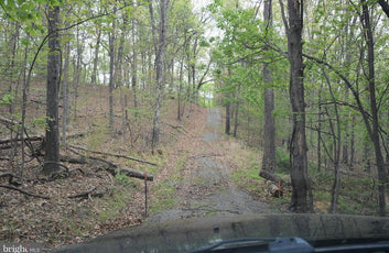 15 ACRES RECREATIONAL LAND IN FALL RUN FOREST-15
