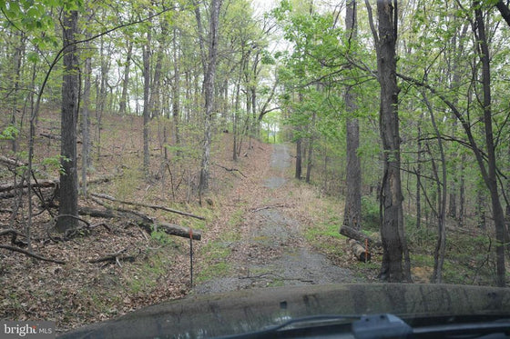 15 ACRES RECREATIONAL LAND IN FALL RUN FOREST