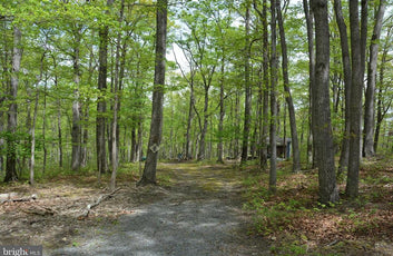 15 ACRES RECREATIONAL LAND IN FALL RUN FOREST-16