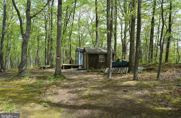 15 ACRES RECREATIONAL LAND IN FALL RUN FOREST-17