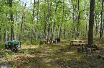 15 ACRES RECREATIONAL LAND IN FALL RUN FOREST-18