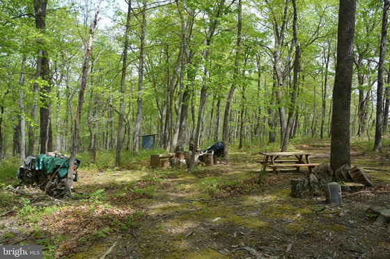 15 ACRES RECREATIONAL LAND IN FALL RUN FOREST