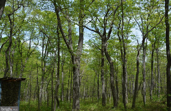 15 ACRES RECREATIONAL LAND IN FALL RUN FOREST-20