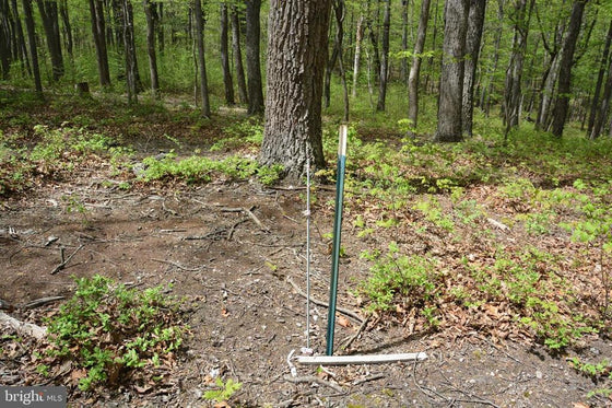 15 ACRES RECREATIONAL LAND IN FALL RUN FOREST
