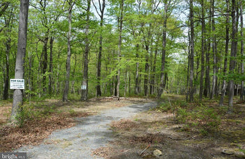 15 ACRES RECREATIONAL LAND IN FALL RUN FOREST-22