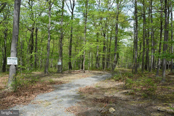 15 ACRES RECREATIONAL LAND IN FALL RUN FOREST