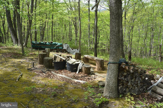 15 ACRES RECREATIONAL LAND IN FALL RUN FOREST
