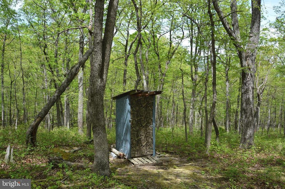 15 ACRES RECREATIONAL LAND IN FALL RUN FOREST